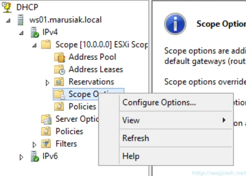 VMware vSphere Auto Deploy DHCP - 9